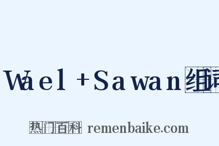 Wael+Sawan组词是什么意思的图片